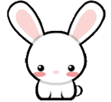 bunny cute cute bunny rabbit