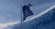 flag windy