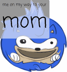 your mom sonic sanic rolling