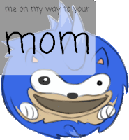 Your Mom Sonic Sticker - Your Mom Sonic Sanic Stickers