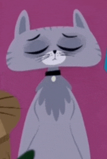 Kitty Is Not A Cat Resentment Resentment GIF - Kitty Is Not A Cat Resentment Resentment GIFs