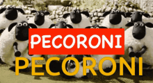 Pecoroni GIF - Pecoroni GIFs