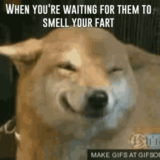 Fart Farts GIF - Fart Farts Funny - Discover & Share GIFs