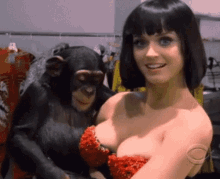 excited monkey cleavage katy perry