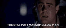 Ghostbusters Marshmallow Man GIF - Ghostbusters Marshmallow Man GIFs