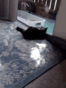 Huh Black Cat GIF - Huh Black Cat Cat GIFs