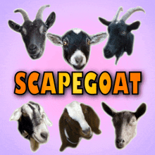 Scapegoat Whipping Boy GIF - Scapegoat Whipping Boy Victim GIFs