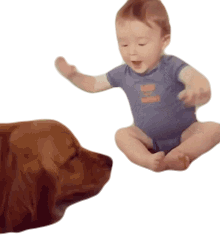 Wake Up Dog Sticker - Wake Up Dog Baby Stickers