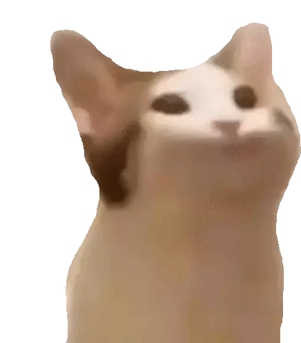 Popcat Meme Sticker - Popcat Cat Meme Stickers