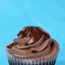 a close up of a chocolate frosted cupcake with mr.cakes written on it