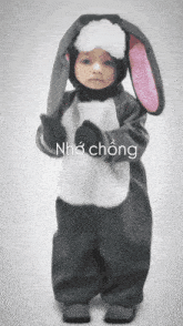 a child dressed in a bunny costume with the word nho chong written on the bottom