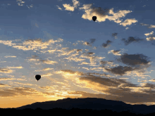 Balloons Flying GIF - Balloons Flying GIFs
