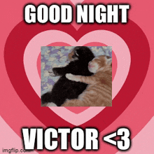 victor goodnightvictor sleepwellvictor