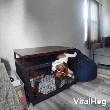 Dog Escapes From His Crate Viralhog GIF - Dog Escapes From His Crate Dog Viralhog GIFs