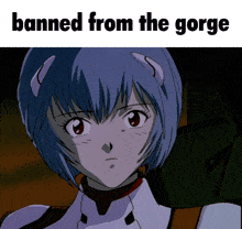 a picture of a girl with the words banned from the gorge below it