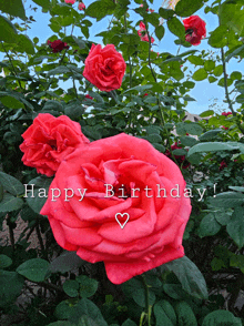 Happy Birthday Happy Birthday Wishes GIF - Happy Birthday Happy Birthday Wishes Red Roses GIFs