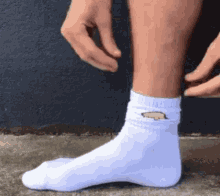 Sucker Socks GIF