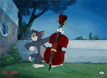 tom and jerry tom the cat cello musician musical instrument