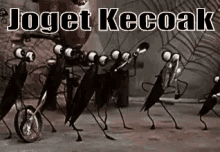 Kecoak Joget GIF - Cockroach Dance Group GIFs