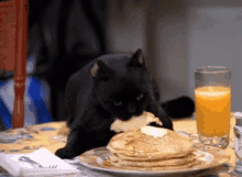Cat Pancakes GIF - Cat Pancakes Salem GIFs