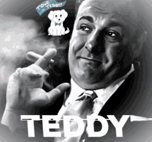 טדי GIF - טדי GIFs