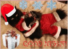 Good Night Santa Hat GIF - Good Night Santa Hat Cats GIFs