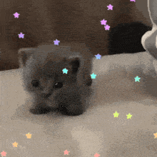 a small gray kitten is standing on a bed with stars surrounding it