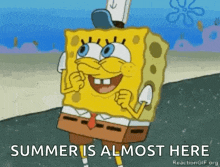 spongebob squarepants from spongebob squarepants is standing on a beach and smiling .