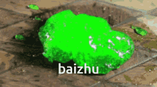 baizhu baizhu