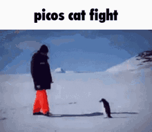 Picos Cat Fight Bfdi GIF - Picos Cat Fight Bfdi GIFs