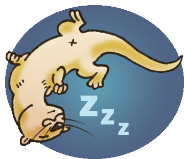 Sleeping Zzz Sticker - Sleeping Sleep Zzz Stickers