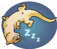 Sleeping Zzz Sticker - Sleeping Sleep Zzz Stickers