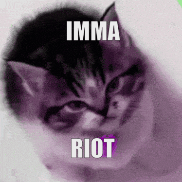 riot-kitty.png