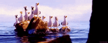 Seagull Yugioh GIF - Seagull Yugioh Banlist GIFs
