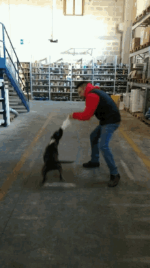 a man in a red jacket is playing with a dog