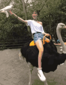 GIF
