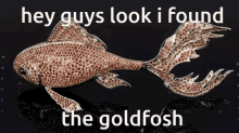 Goldfosh Goldfish GIF - Goldfosh Goldfish Max Fosh GIFs