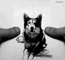 Jflemay Dog GIF - Jflemay Dog Dark GIFs
