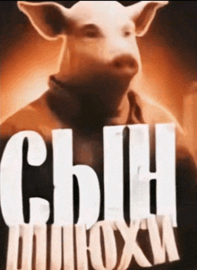 a poster of a pig with the word сын written on it