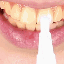 White Teeth GIFs | Tenor