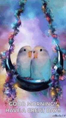 Lovebirds GIF - Lovebirds GIFs