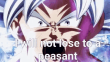 Goku I Will Not Lose To A Peasant GIF