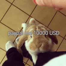 Bglamours Paypal Me 10000 Usd GIF