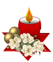a red candle sits on a red star surrounded by white flowers
