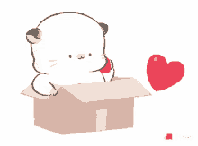 love box cute adorable cat