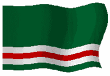 chechen chechen flag