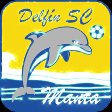 Delfin Delfin Sc GIF - Delfin Delfin Sc Delfin Ecuador GIFs