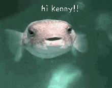 Kenny Hi Kenny GIF - Kenny Hi Kenny Hello GIFs
