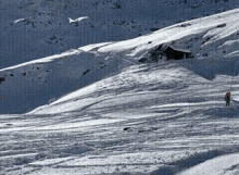 Ski Fail GIF - Ski Fail Mountain GIFs