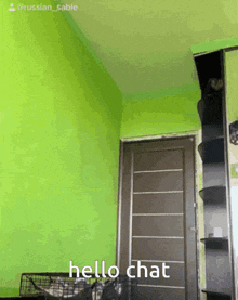 Hello Chat R GIF - Hello Chat R Russian Sable GIFs